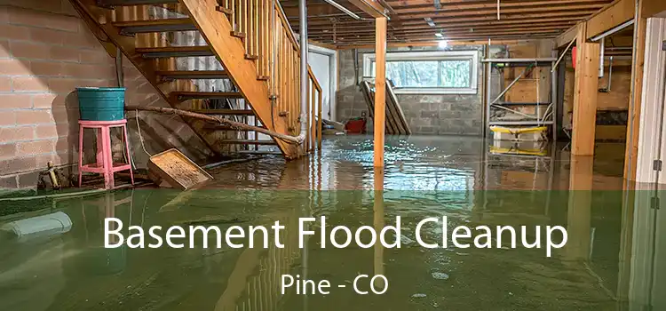 Basement Flood Cleanup Pine - CO