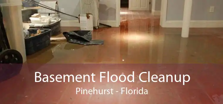 Basement Flood Cleanup Pinehurst - Florida