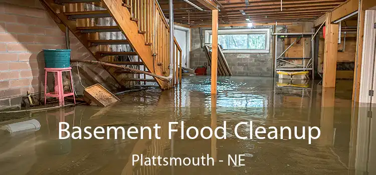 Basement Flood Cleanup Plattsmouth - NE