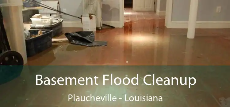 Basement Flood Cleanup Plaucheville - Louisiana