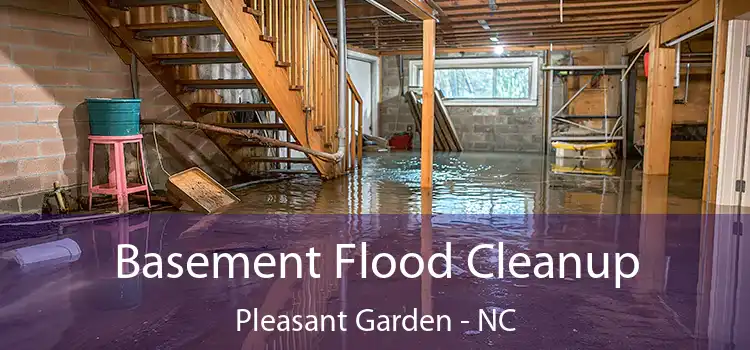 Basement Flood Cleanup Pleasant Garden - NC