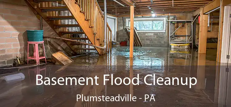 Basement Flood Cleanup Plumsteadville - PA