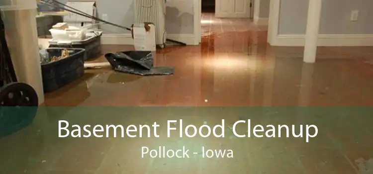 Basement Flood Cleanup Pollock - Iowa