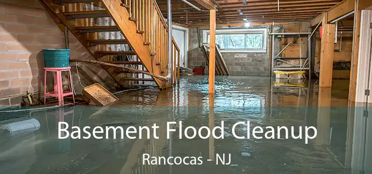 Basement Flood Cleanup Rancocas - NJ