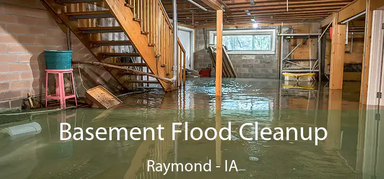 Basement Flood Cleanup Raymond - IA