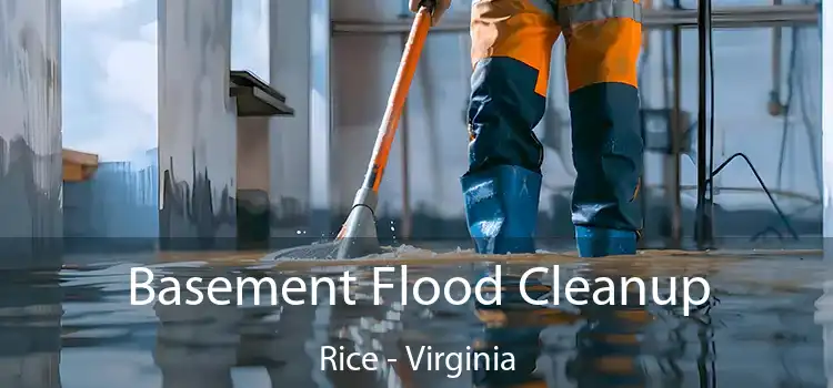 Basement Flood Cleanup Rice - Virginia