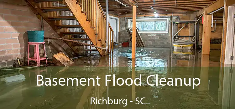 Basement Flood Cleanup Richburg - SC