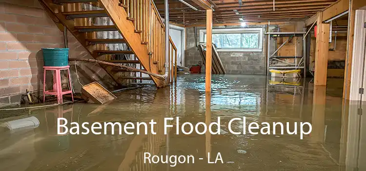 Basement Flood Cleanup Rougon - LA