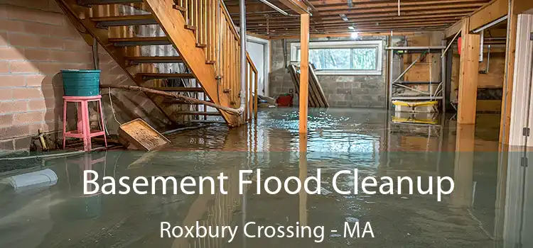 Basement Flood Cleanup Roxbury Crossing - MA