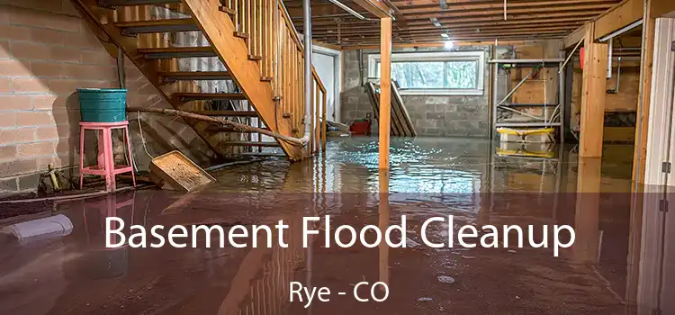 Basement Flood Cleanup Rye - CO