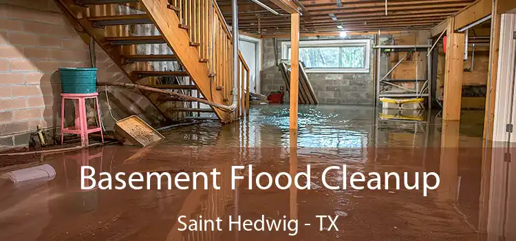 Basement Flood Cleanup Saint Hedwig - TX