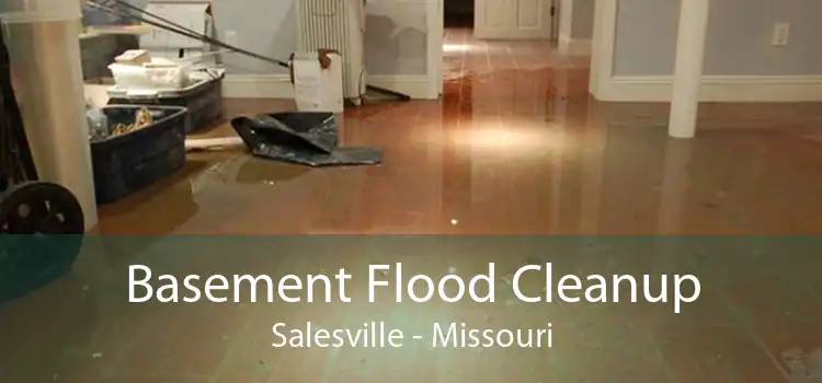 Basement Flood Cleanup Salesville - Missouri