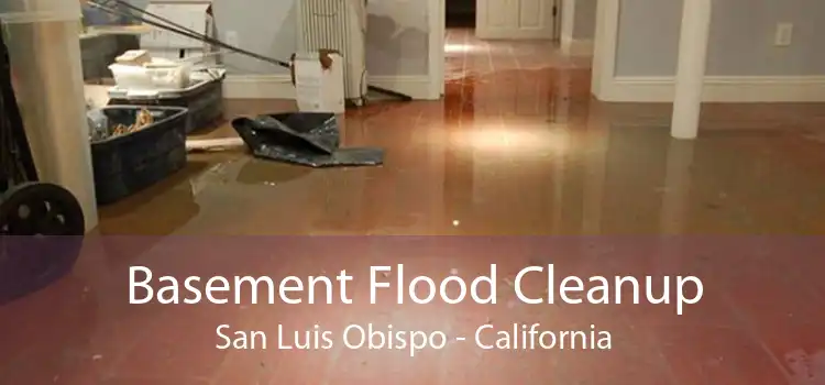 Basement Flood Cleanup San Luis Obispo - California