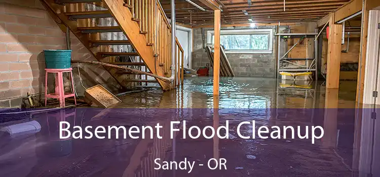 Basement Flood Cleanup Sandy - OR