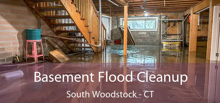 Basement Flood Cleanup South Woodstock - CT