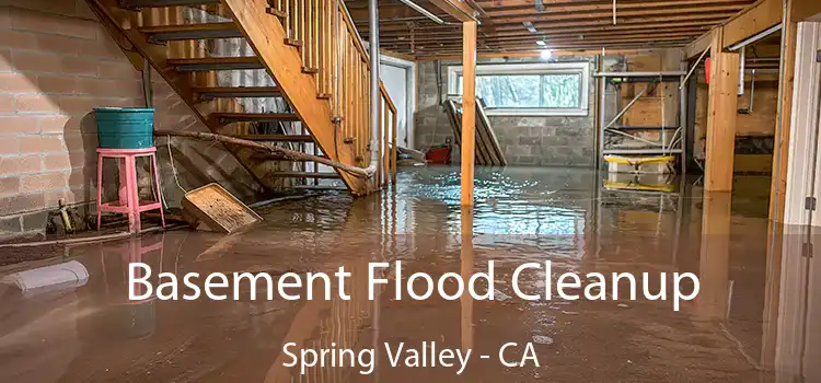 Basement Flood Cleanup Spring Valley - CA