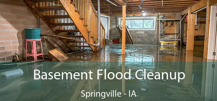 Basement Flood Cleanup Springville - IA