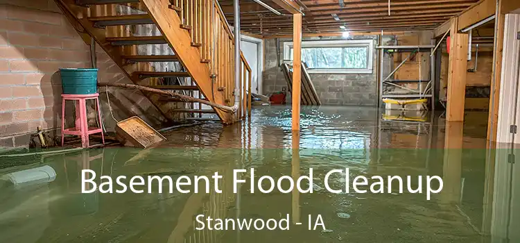 Basement Flood Cleanup Stanwood - IA