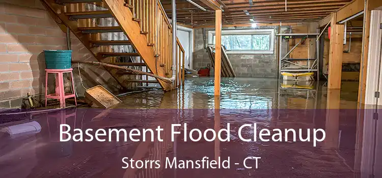 Basement Flood Cleanup Storrs Mansfield - CT