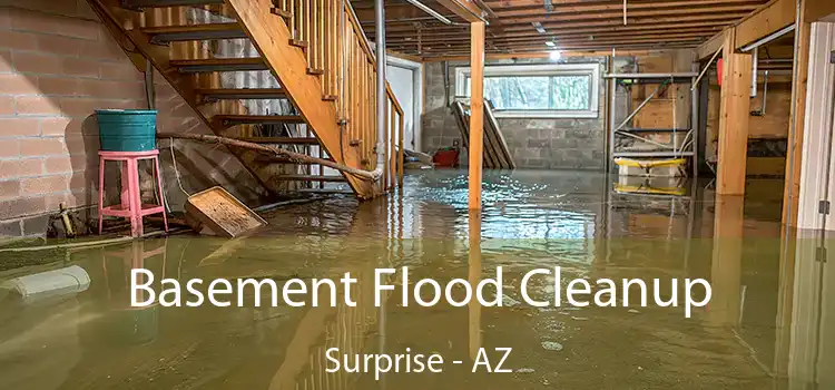 Basement Flood Cleanup Surprise - AZ