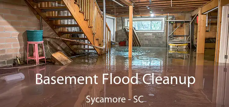 Basement Flood Cleanup Sycamore - SC