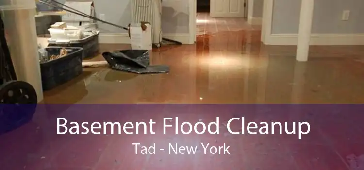 Basement Flood Cleanup Tad - New York