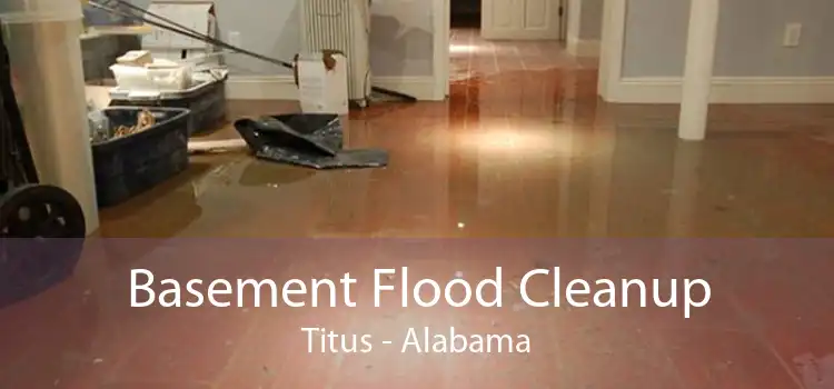 Basement Flood Cleanup Titus - Alabama