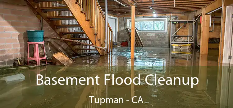 Basement Flood Cleanup Tupman - CA