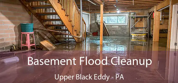 Basement Flood Cleanup Upper Black Eddy - PA