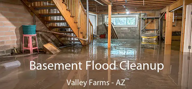 Basement Flood Cleanup Valley Farms - AZ