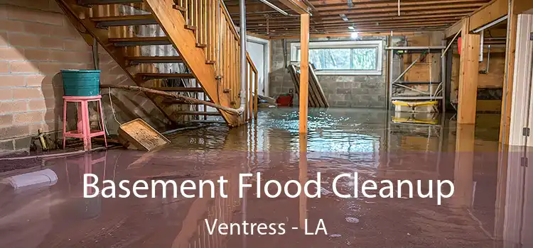 Basement Flood Cleanup Ventress - LA