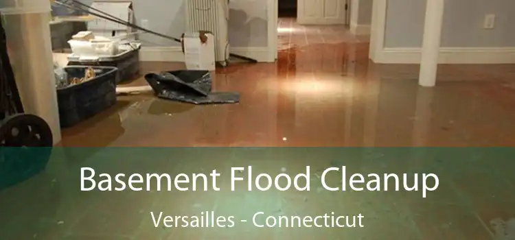 Basement Flood Cleanup Versailles - Connecticut