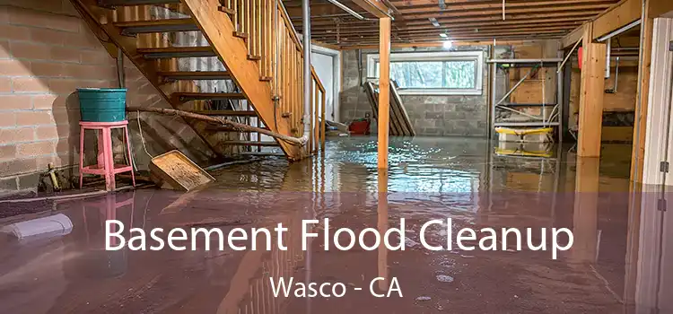 Basement Flood Cleanup Wasco - CA