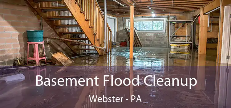 Basement Flood Cleanup Webster - PA