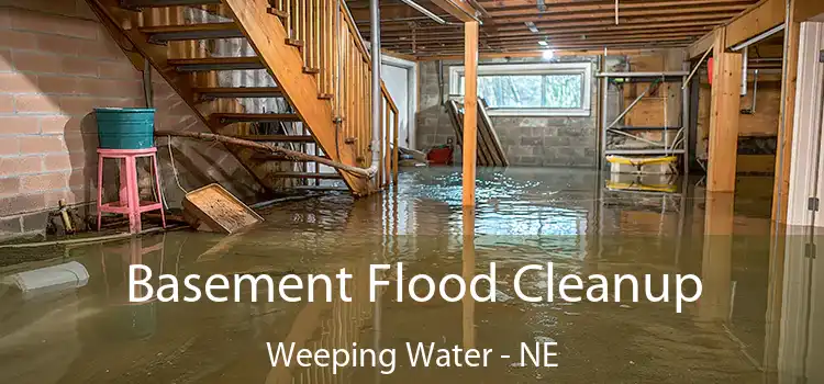 Basement Flood Cleanup Weeping Water - NE