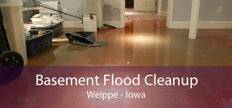 Basement Flood Cleanup Weippe - Iowa