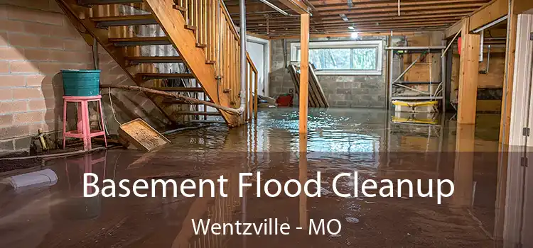 Basement Flood Cleanup Wentzville - MO