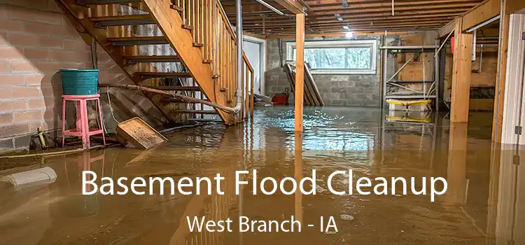 Basement Flood Cleanup West Branch - IA