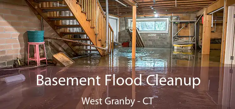 Basement Flood Cleanup West Granby - CT