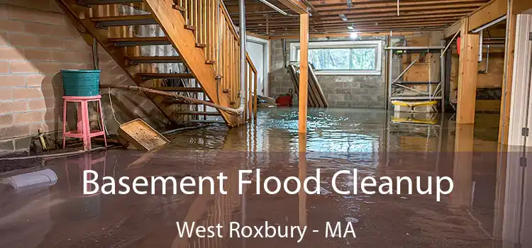 Basement Flood Cleanup West Roxbury - MA