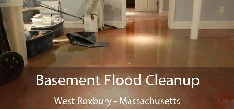 Basement Flood Cleanup West Roxbury - Massachusetts