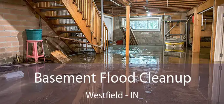 Basement Flood Cleanup Westfield - IN