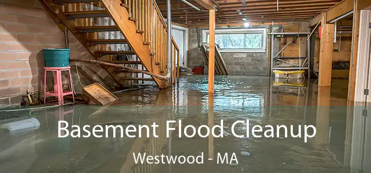 Basement Flood Cleanup Westwood - MA