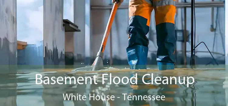 Basement Flood Cleanup White House - Tennessee