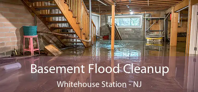 Basement Flood Cleanup Whitehouse Station - NJ