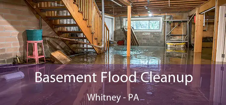 Basement Flood Cleanup Whitney - PA