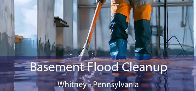 Basement Flood Cleanup Whitney - Pennsylvania