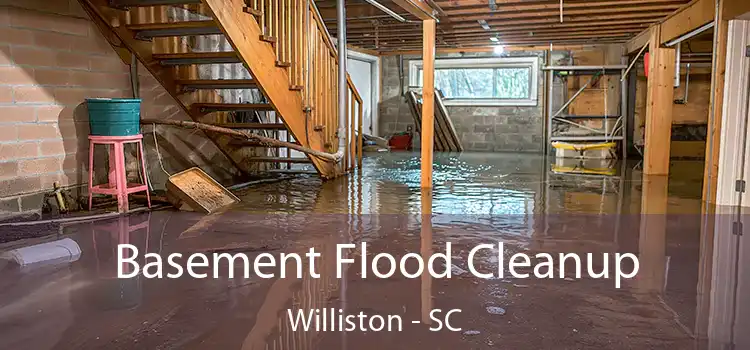 Basement Flood Cleanup Williston - SC