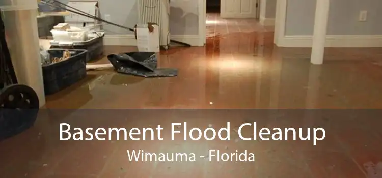 Basement Flood Cleanup Wimauma - Florida