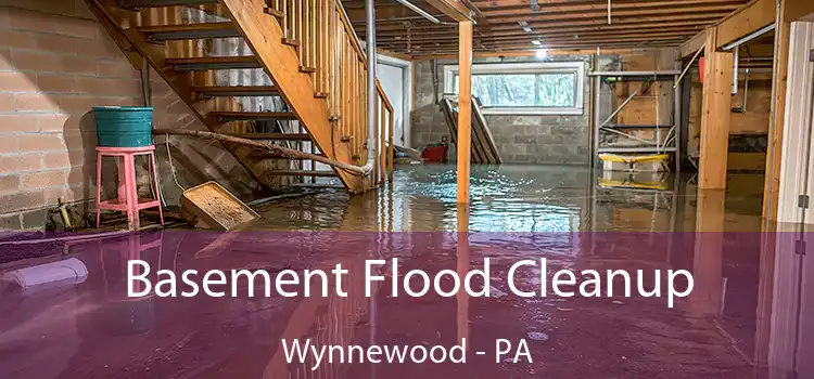 Basement Flood Cleanup Wynnewood - PA